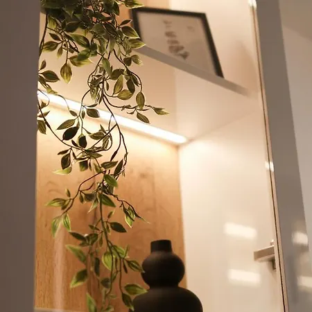 Nivalis Hill 8 アパート