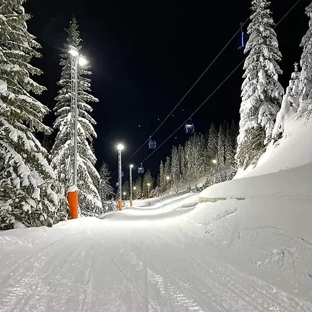 Nivalis Hill 8 アパート ヤホリナ